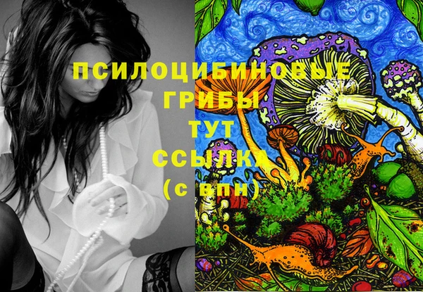 МДПВ Алексин