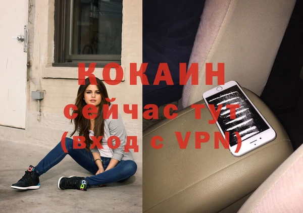 МДПВ Алексин