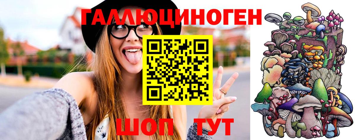 Каменск-Уральский  Псилоцибиновые грибы Psilocybe  Вход с VPN 